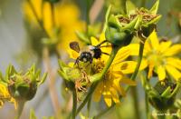 View photo in a new window