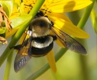 View photo in a new window