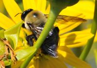 View photo in a new window