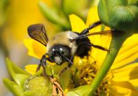 View photo in a new window