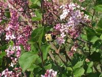 View photo in a new window