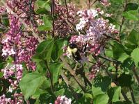 View photo in a new window