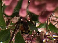 View photo in a new window