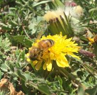 View photo in a new window