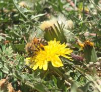 View photo in a new window