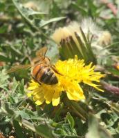 View photo in a new window