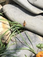 View photo in a new window