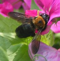 View photo in a new window