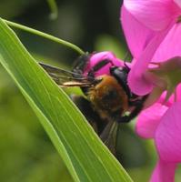 View photo in a new window