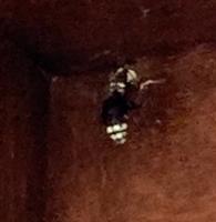 View photo in a new window