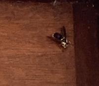 View photo in a new window