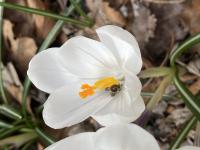 View photo in a new window