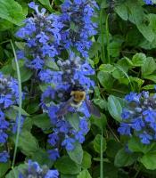 View photo in a new window