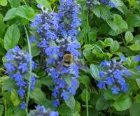 View photo in a new window