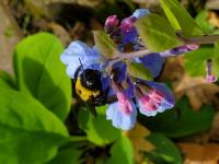 View photo in a new window