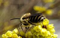 View photo in a new window