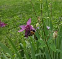 View photo in a new window