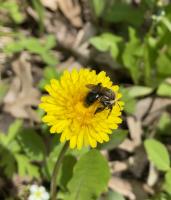 View photo in a new window