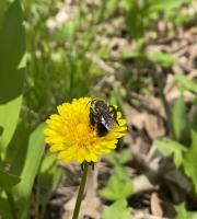 View photo in a new window