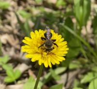 View photo in a new window