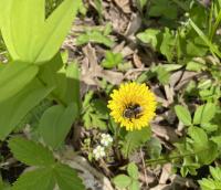 View photo in a new window