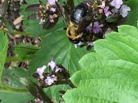 View photo in a new window