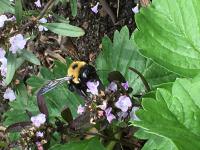 View photo in a new window