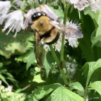 View photo in a new window