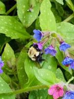 View photo in a new window