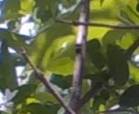 View photo in a new window