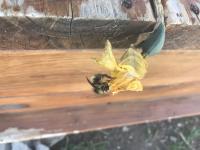 View photo in a new window