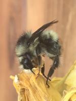 View photo in a new window