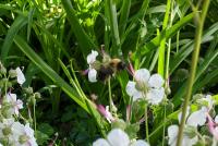 View photo in a new window