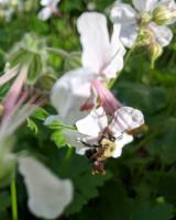 View photo in a new window