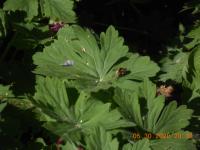 View photo in a new window