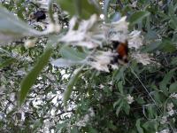 View photo in a new window