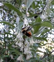 View photo in a new window