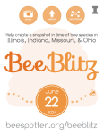 BeeBlitz announcement flier