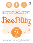 BeeBlitz announcement flier