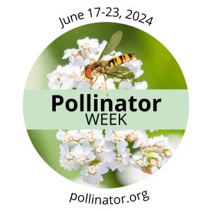 National Pollinator Week badge