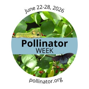 Pollinator Week badge